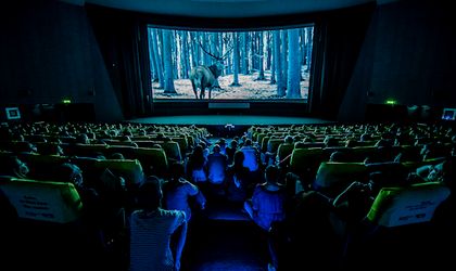 Behind The Camera Lens Of Tiff 2017 With Photographer Marius Maris Business Review